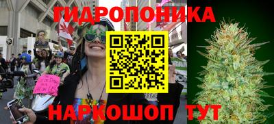 прущие крисы Ковров