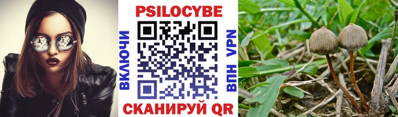 что такое наркотик  Апрелевка  Галлюциногенные грибы мицелий 