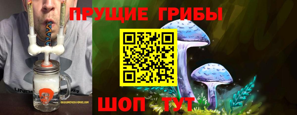 Псилоцибиновые грибы GOLDEN TEACHER Апрелевка
